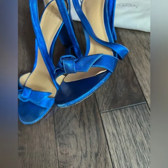 Alexandre Birman Clarita