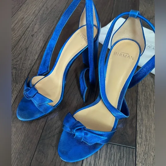 Alexandre Birman Clarita