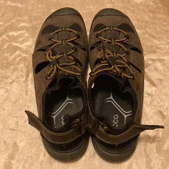 Ecco Hiking Sandals