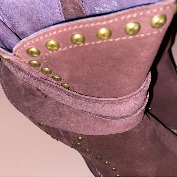 Free People western pointed toe wine colored Billy boots
