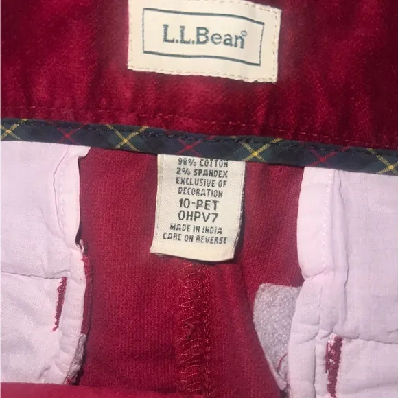 L.L. Bean Corduroy Burgundy Skirt suede office business Clueless 90s Siren 90s