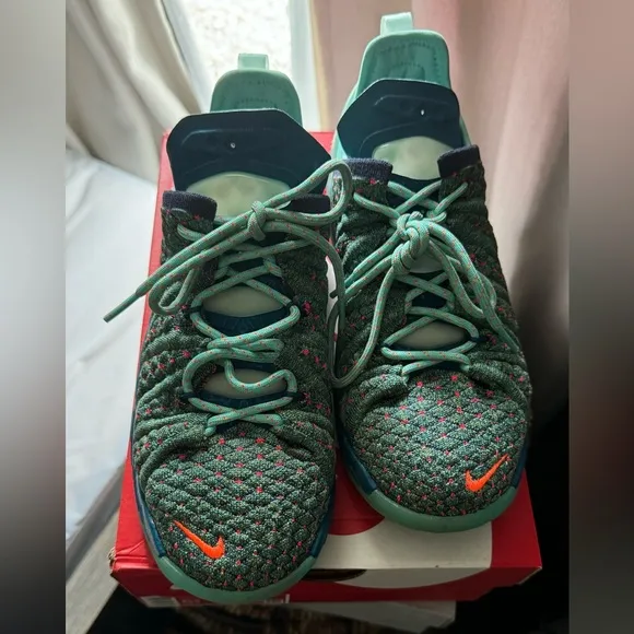Nike Lebron basketball sneakers