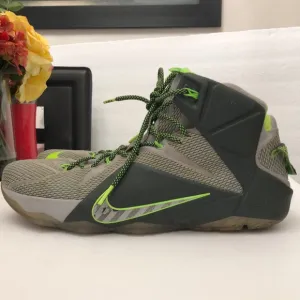 NIKE LEBRON JAMES XII DUNK FORCE 2014 BASKETBALL SNEAKERS MENS SIZE 15
