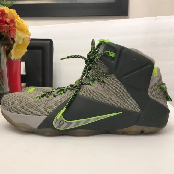 NIKE LEBRON JAMES XII DUNK FORCE 2014 BASKETBALL SNEAKERS MENS SIZE 15