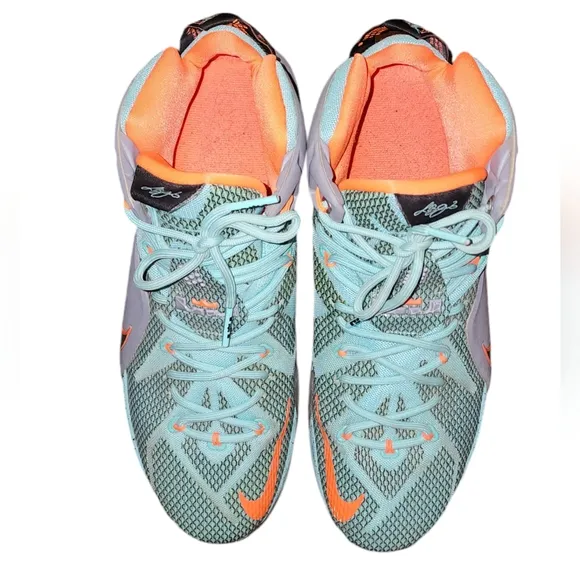 Nike Lebron XII Men's Size 13 Basketball Green/Grey Sneakers/Shoes 684593-301