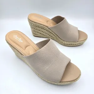 NWOT Charles by Charles David Jeremy Silver-studded Espadrille Wedge Sandals, 11