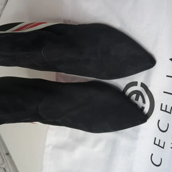 NWT Cecelia new york Rebecca zip up suede boots