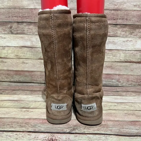 Ugg Brown Classic Tall Boots