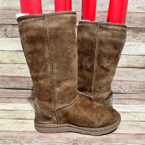 Ugg Brown Classic Tall Boots