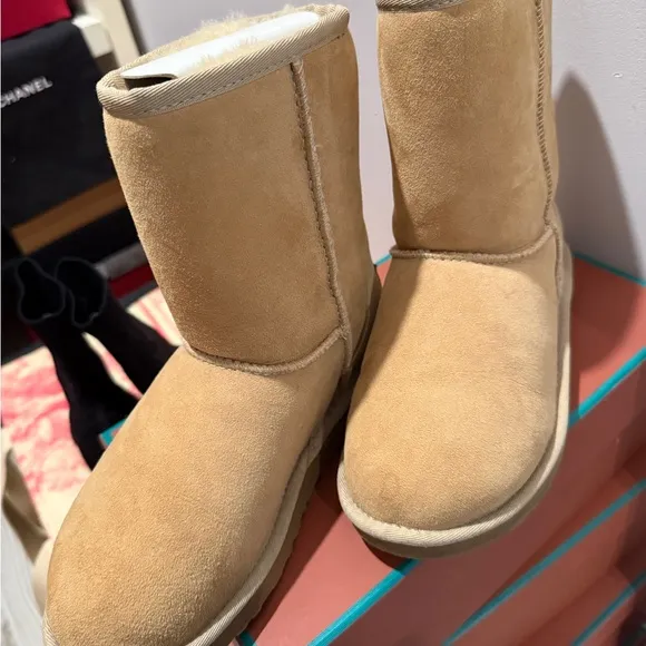 UGG Cream Winter Boots Classic Boot