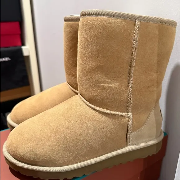 UGG Cream Winter Boots Classic Boot