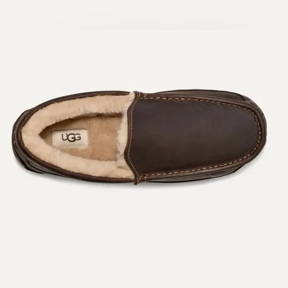 UGG Plush Ascot Men's Brown Leather Loafers Size 8 Wide New In Box